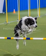 1-18-25-Kathy-W-Seminar-337