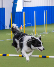 1-18-25-Kathy-W-Seminar-340