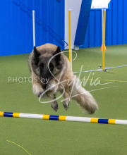 1-18-25-Kathy-W-Seminar-347