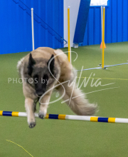 1-18-25-Kathy-W-Seminar-348