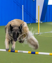 1-18-25-Kathy-W-Seminar-351