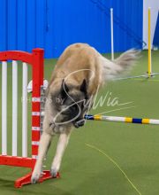 1-18-25-Kathy-W-Seminar-353