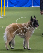 1-18-25-Kathy-W-Seminar-356