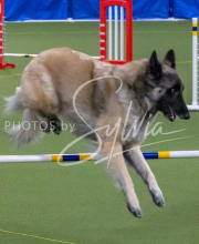 1-18-25-Kathy-W-Seminar-357