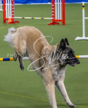 1-18-25-Kathy-W-Seminar-360