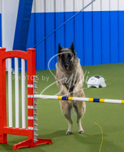 1-18-25-Kathy-W-Seminar-368