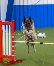 1-18-25-Kathy-W-Seminar-369