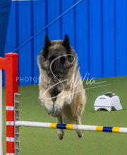 1-18-25-Kathy-W-Seminar-370