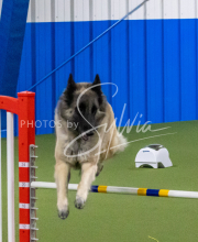 1-18-25-Kathy-W-Seminar-371