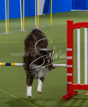 1-18-25-Kathy-W-Seminar-383