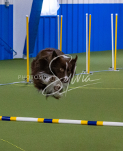 1-18-25-Kathy-W-Seminar-384