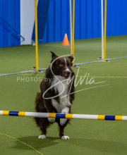 1-18-25-Kathy-W-Seminar-386