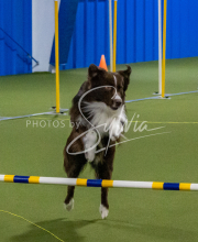 1-18-25-Kathy-W-Seminar-387