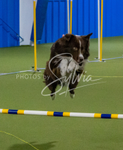 1-18-25-Kathy-W-Seminar-388