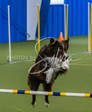 1-18-25-Kathy-W-Seminar-392