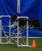 1-18-25-Kathy-W-Seminar-400