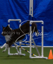 1-18-25-Kathy-W-Seminar-402