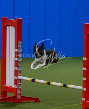 1-18-25-Kathy-W-Seminar-404