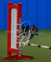 1-18-25-Kathy-W-Seminar-405