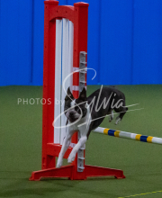 1-18-25-Kathy-W-Seminar-408