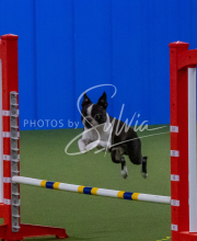 1-18-25-Kathy-W-Seminar-409