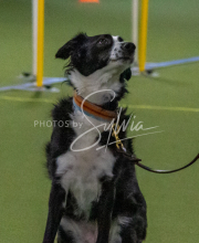 1-18-25-Kathy-W-Seminar-416