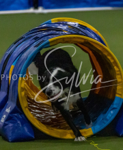 1-18-25-Kathy-W-Seminar-418