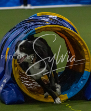 1-18-25-Kathy-W-Seminar-419