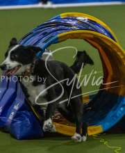 1-18-25-Kathy-W-Seminar-420