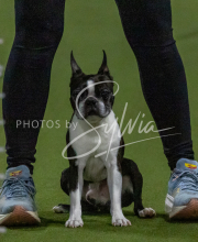 1-18-25-Kathy-W-Seminar-426