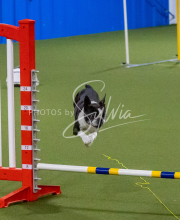 1-18-25-Kathy-W-Seminar-427