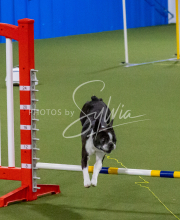 1-18-25-Kathy-W-Seminar-428