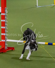 1-18-25-Kathy-W-Seminar-429