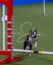 1-18-25-Kathy-W-Seminar-430