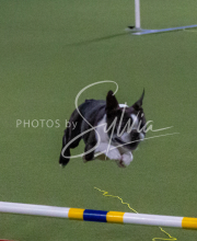 1-18-25-Kathy-W-Seminar-432