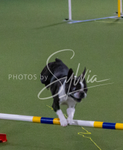 1-18-25-Kathy-W-Seminar-433