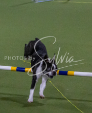 1-18-25-Kathy-W-Seminar-434