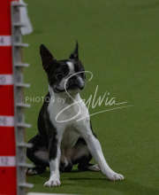 1-18-25-Kathy-W-Seminar-436