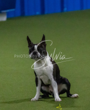 1-18-25-Kathy-W-Seminar-437