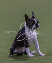 1-18-25-Kathy-W-Seminar-445