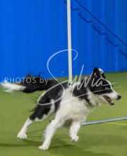 1-18-25-Kathy-W-Seminar-449