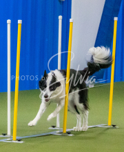 1-18-25-Kathy-W-Seminar-450