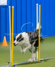 1-18-25-Kathy-W-Seminar-452