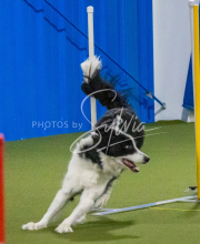 1-18-25-Kathy-W-Seminar-453