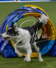 1-18-25-Kathy-W-Seminar-456