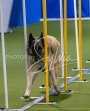 1-18-25-Kathy-W-Seminar-463