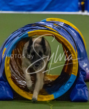 1-18-25-Kathy-W-Seminar-465