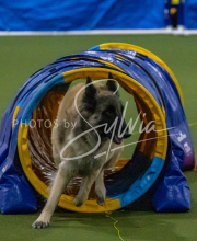 1-18-25-Kathy-W-Seminar-467