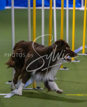 1-18-25-Kathy-W-Seminar-475