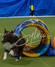 1-18-25-Kathy-W-Seminar-477